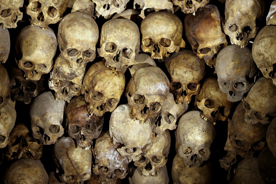ancestors - skulls