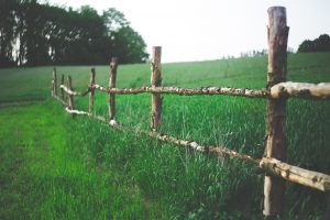 whiteness - fence